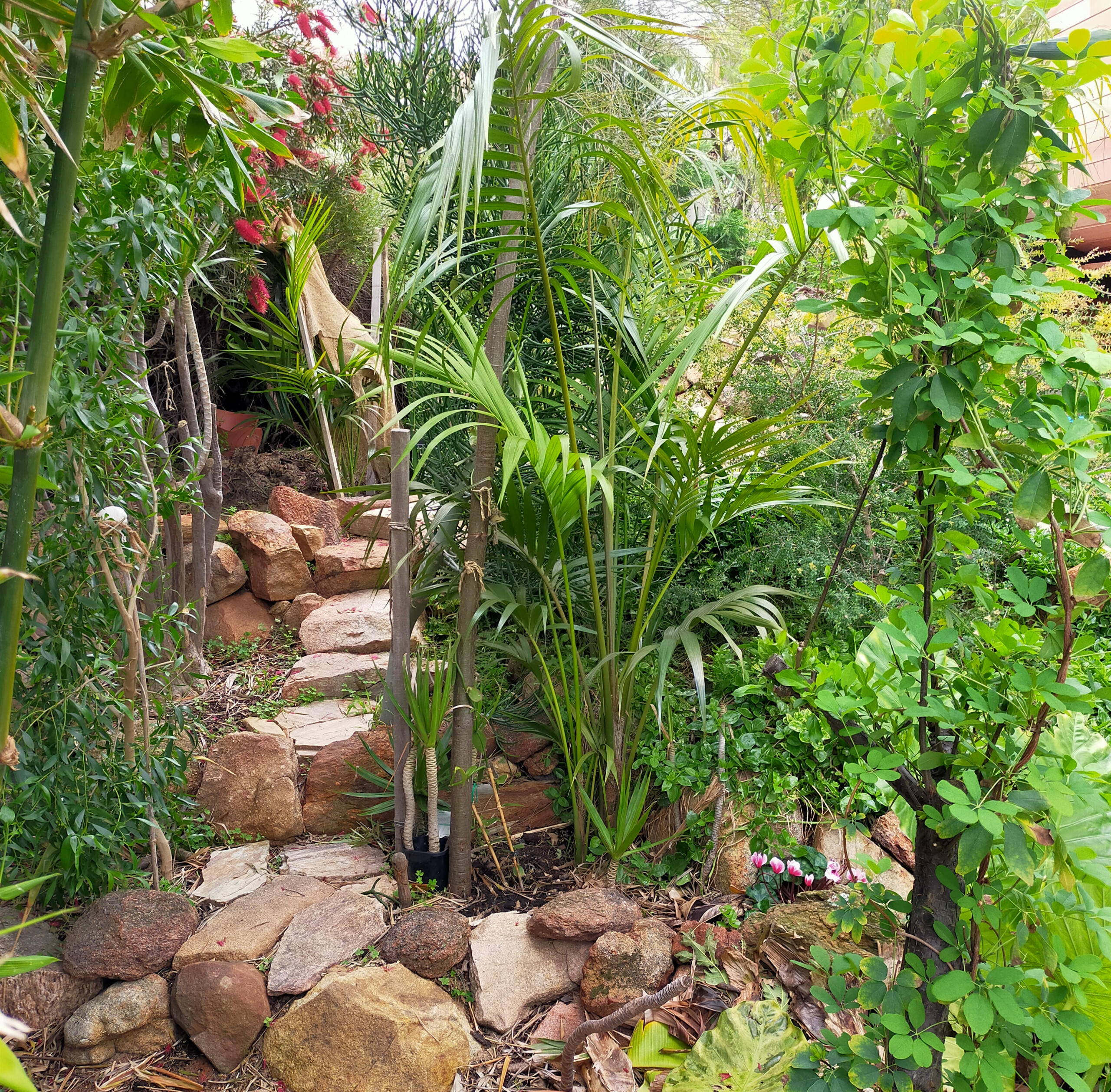 Path to the sauna Winding stone path